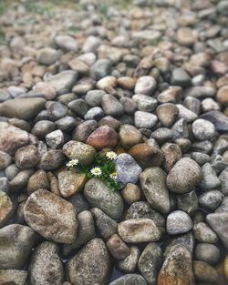 Full frame shot of stones