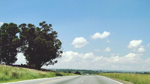 Empty road along trees