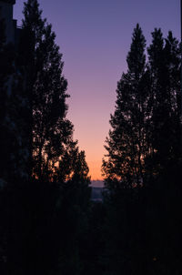 Silhouette trees in forest against sky at night