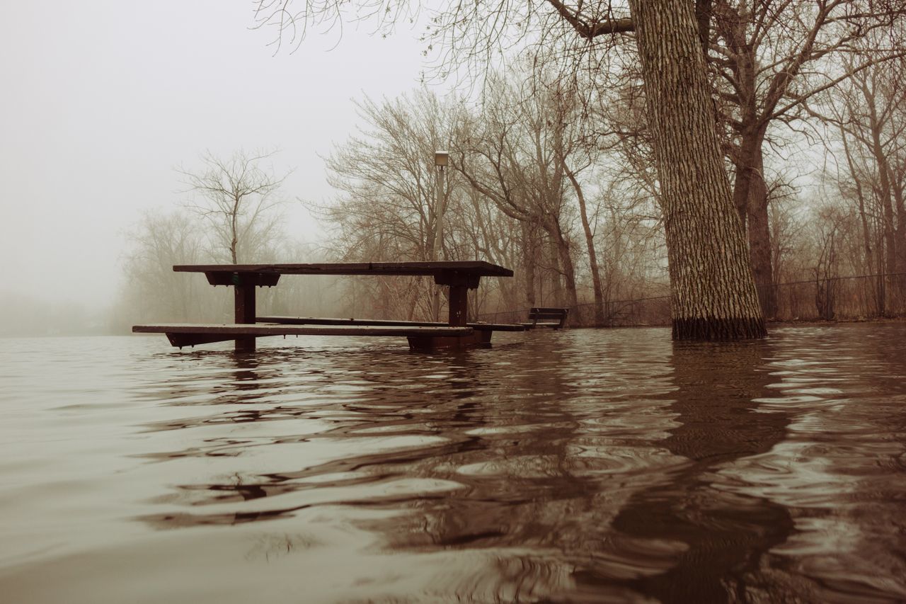 SCENIC VIEW OF LAKE AGAINST TREES