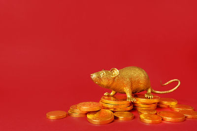 Close-up of coins on red background