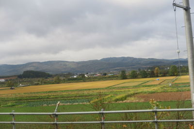 Scenic view of field against sky