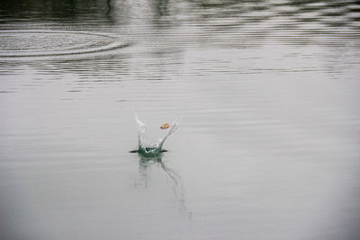 Full frame shot of motorcycle on water