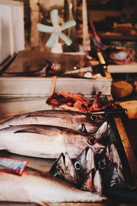 Close-up of fish for sale in market