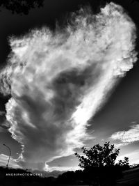 Low angle view of silhouette trees against sky