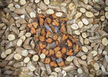 large group of objects