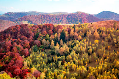 Romanian mountains in autumn season, cindrel mountains, paltinis area, sibiu county, central romania