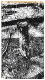 High angle view of old shadow on field