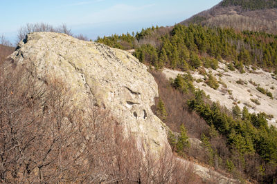 Stone formatikn resembling human head at belintash sacred ancient thracian location.
