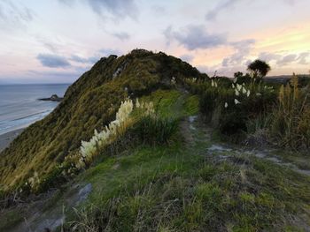 Scenic view of sea against sky during sunset