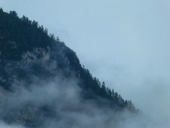 Scenic view of trees and mountains against sky