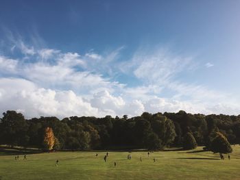 Scenic view of golf course against sky