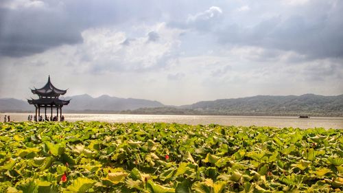 Scenic view of lake against cloudy sky