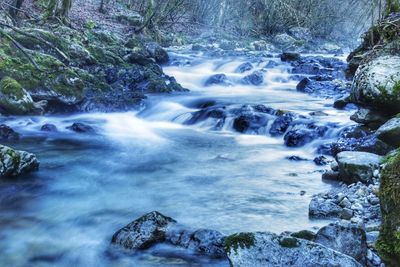 Scenic view of waterfall in forest