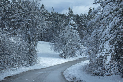 Snow covered road amidst trees against sky