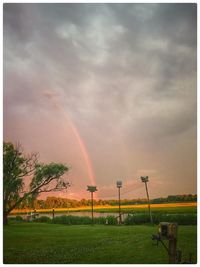 Rainbow over field against sky