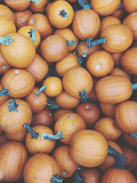 Full frame shot of pumpkins