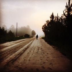 Rear view of silhouette person walking on road