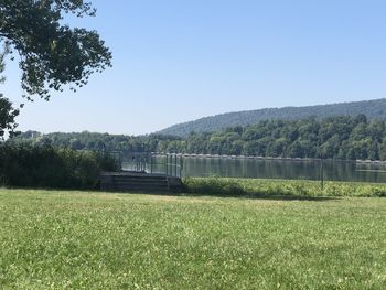 Scenic view of field against clear sky