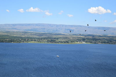 Birds flying over landscape against sky