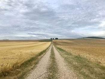 Dirt road amidst agricultural field against sky