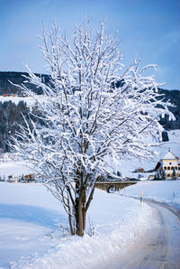 Snow covered landscape against sky