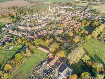 High angle view of plants growing on field