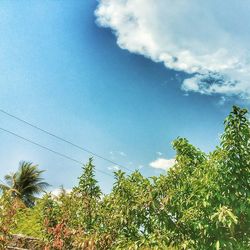 low angle view