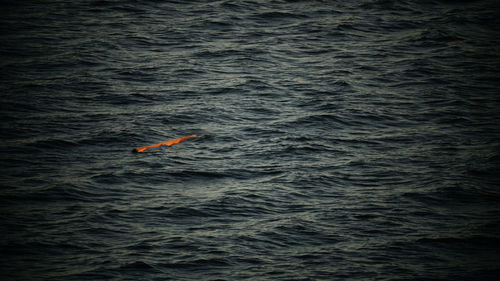 High angle view of people swimming in sea