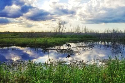 Scenic view of lake against sky