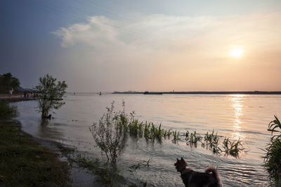 Scenic view of sea against sky at sunset