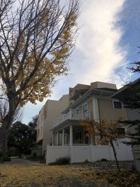 House by tree against sky
