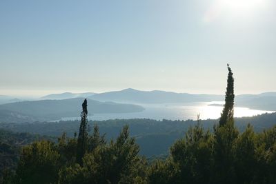 Panoramic view of trees on mountain against sky