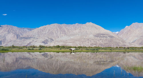 Scenic view of lake and mountains against clear blue sky