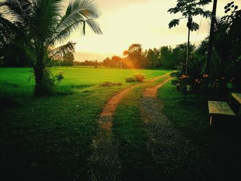 Scenic view of grassy field against sky at sunset