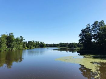 Scenic view of lake against clear blue sky