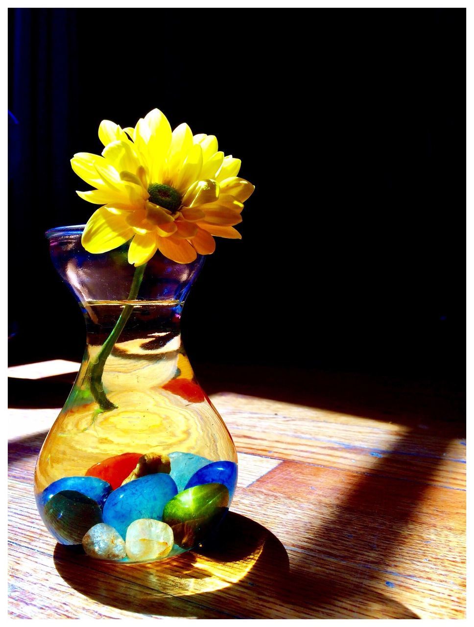 CLOSE-UP OF YELLOW FLOWER IN VASE