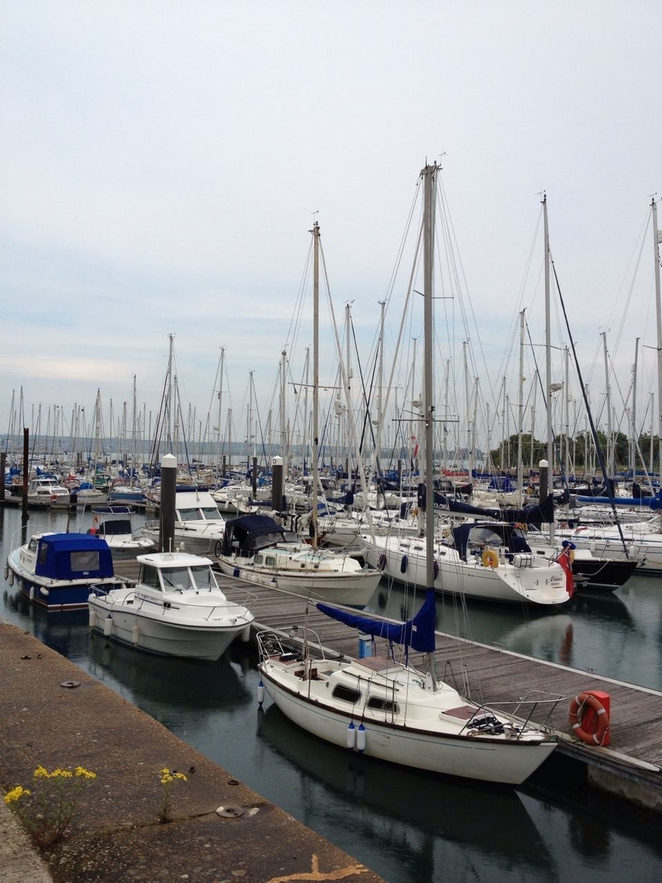 nautical vessel, moored, transportation, boat, mode of transport, water, harbor, mast, sailboat, sea, sky, in a row, marina, travel, day, outdoors, yacht, commercial dock, no people, large group of objects