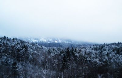 The adirondack mountains in the winter