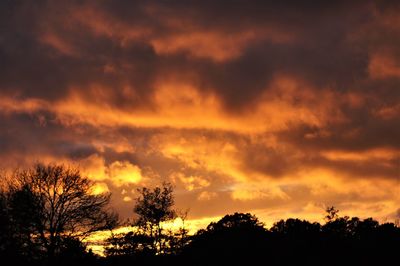 Low angle view of silhouette trees against dramatic sky