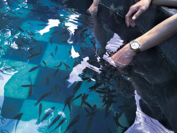 Fish swimming in sea