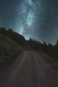 Road amidst plants against sky at night