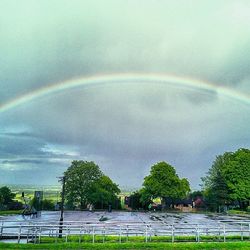 Rainbow over trees against cloudy sky