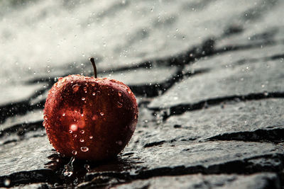 Close-up of wet apple in water