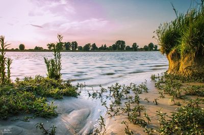 Scenic view of sea against sky during sunset