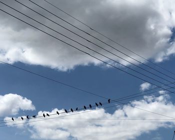 Low angle view of birds perching on cable