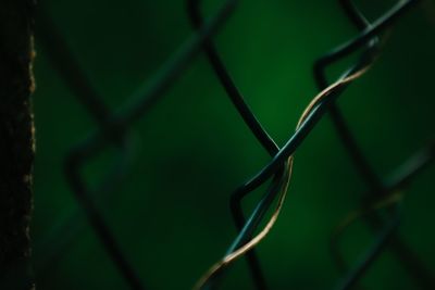 Close-up of chainlink fence