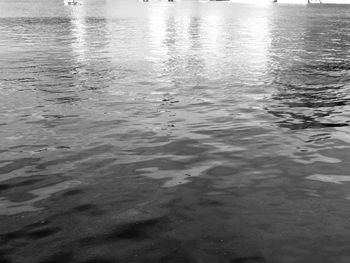 Close-up of swimming in lake