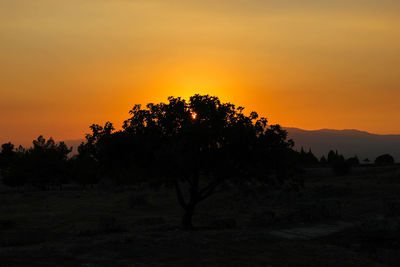 Silhouette trees on field against orange sky