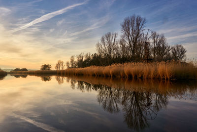 Reflection of trees in lake against sky during sunset